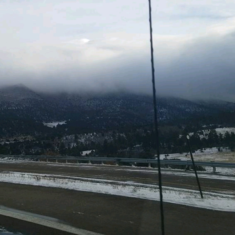 Meet your Posher, Angelica